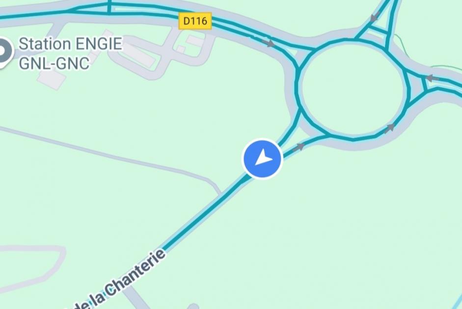 Alerte Découverte Chat Inconnu Saint-Barthélemy-d'Anjou France